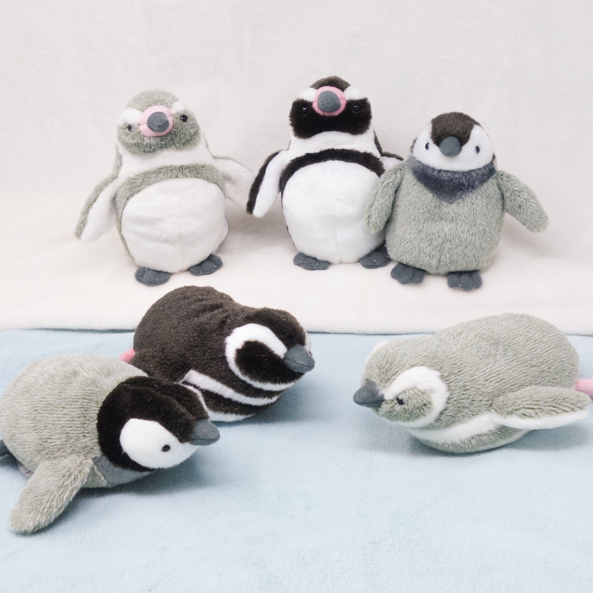 暑い日のペンギン特集♪ – nipopo