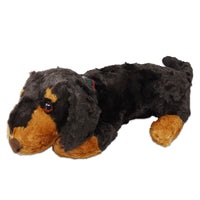 DOG DAY Miniature Dachshund M size