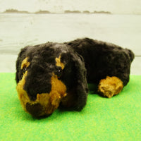 DOG DAY Miniature Dachshund M size