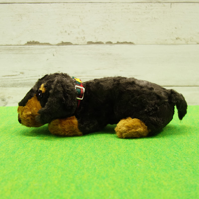 DOG DAY Miniature Dachshund M size