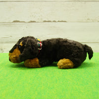 DOG DAY Miniature Dachshund M size
