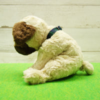 DOG DAY Pug M size