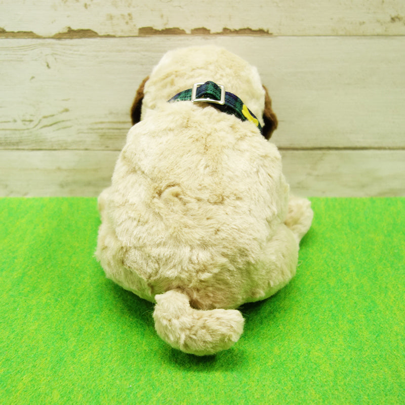 DOG DAY Pug M size