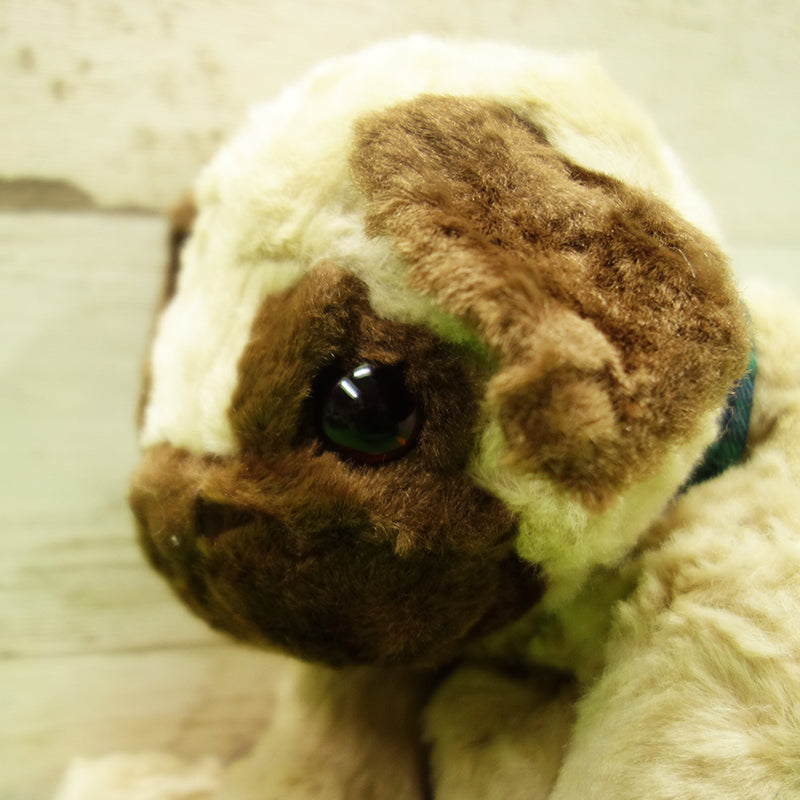 DOG DAY Pug M size