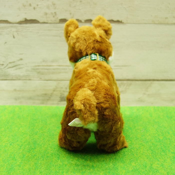 DOG DAY Shiba Inu S size
