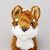 DOG DAY Shiba Inu S size