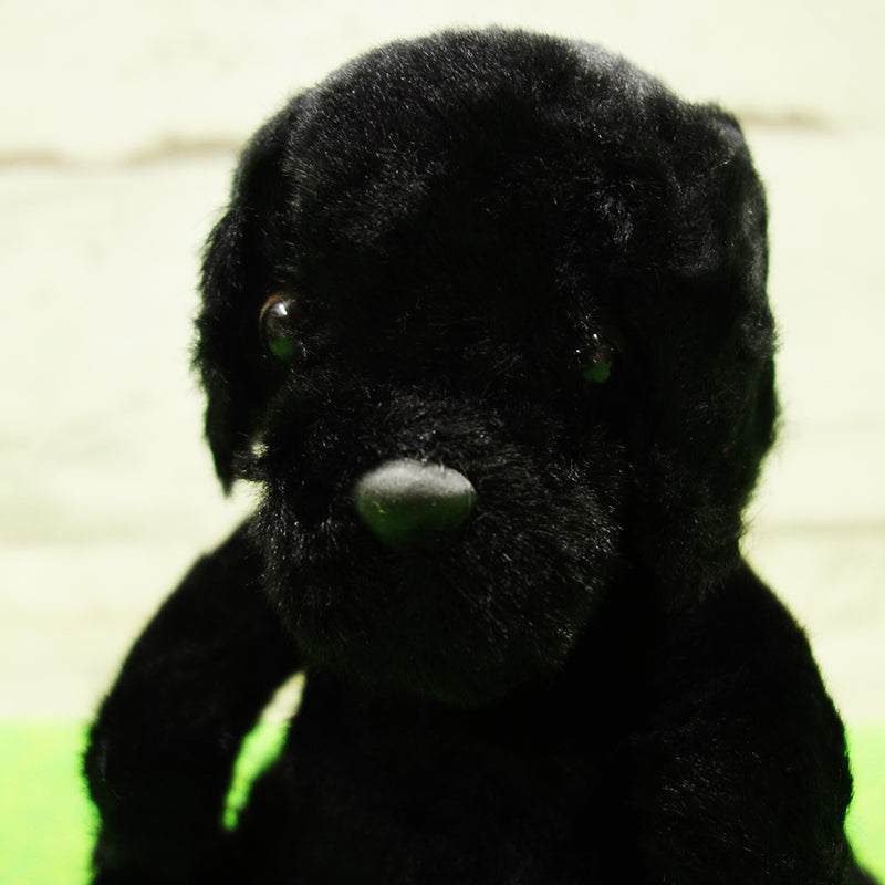 DOG DAY Labrador black size S