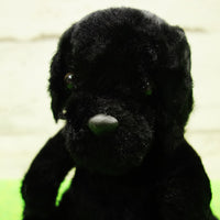 DOG DAY Labrador black size S