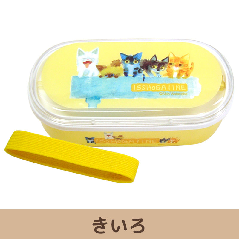 お弁当の容器 3種類