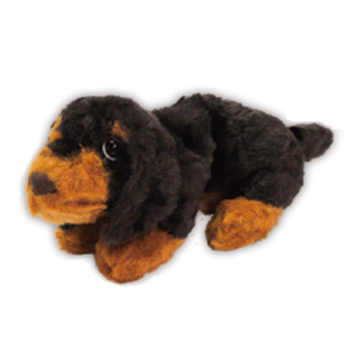 DOG DAY Miniature Dachshund S size