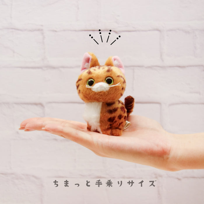 こにゃんころん マスコット 【全5種】