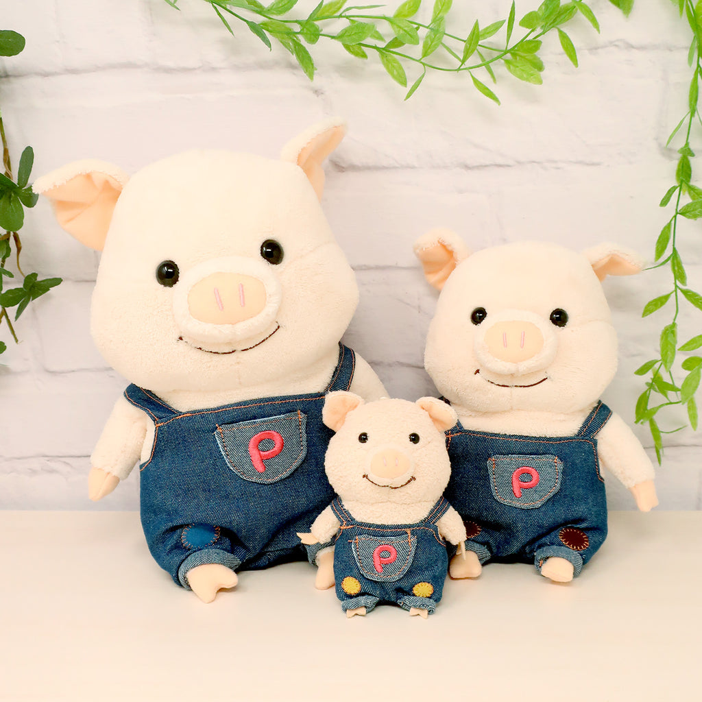 ae27e0f378558b5a8965ae37f4ff80  