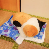 猫ぬいぐるみごめん寝ぼうみたいなねこ