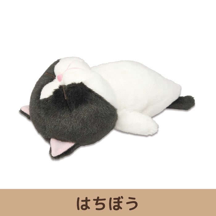 Bou-like cat stuffed toy 2 [2 types in total]