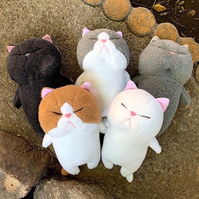 Bou-like cat stuffed toy L [5 types in total]