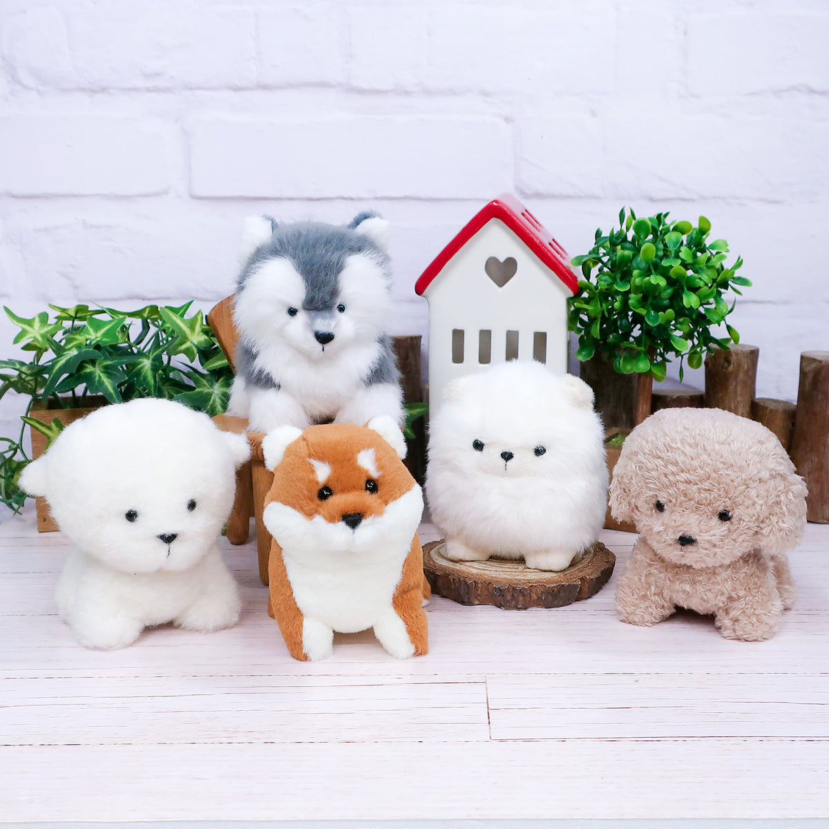 わたぽ ぬいぐるみ 犬のなかま【全5種】