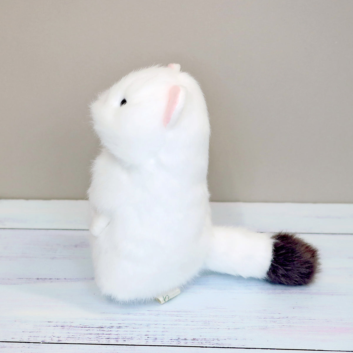 【予約販売】わたぽ ぬいぐるみ (３種）<<7/3(金)順次発送予定>>