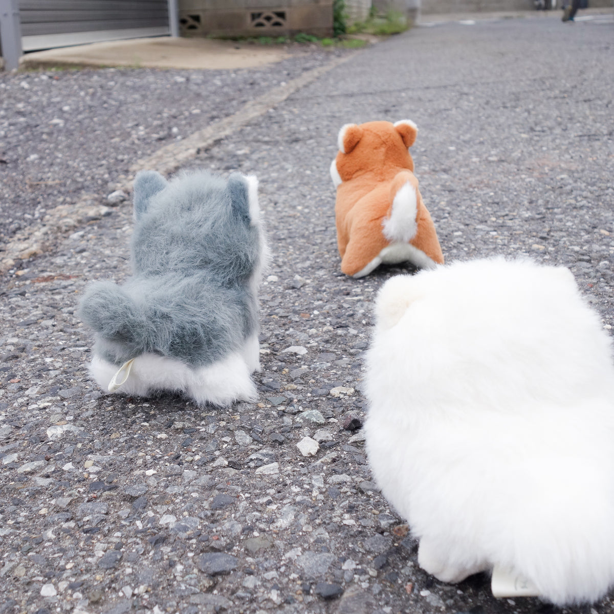 わたぽ ぬいぐるみ 犬のなかま【全5種】