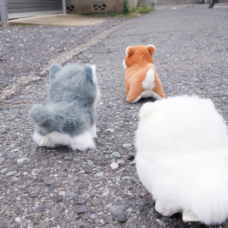 わたぽ ぬいぐるみ 犬のなかま【全5種】