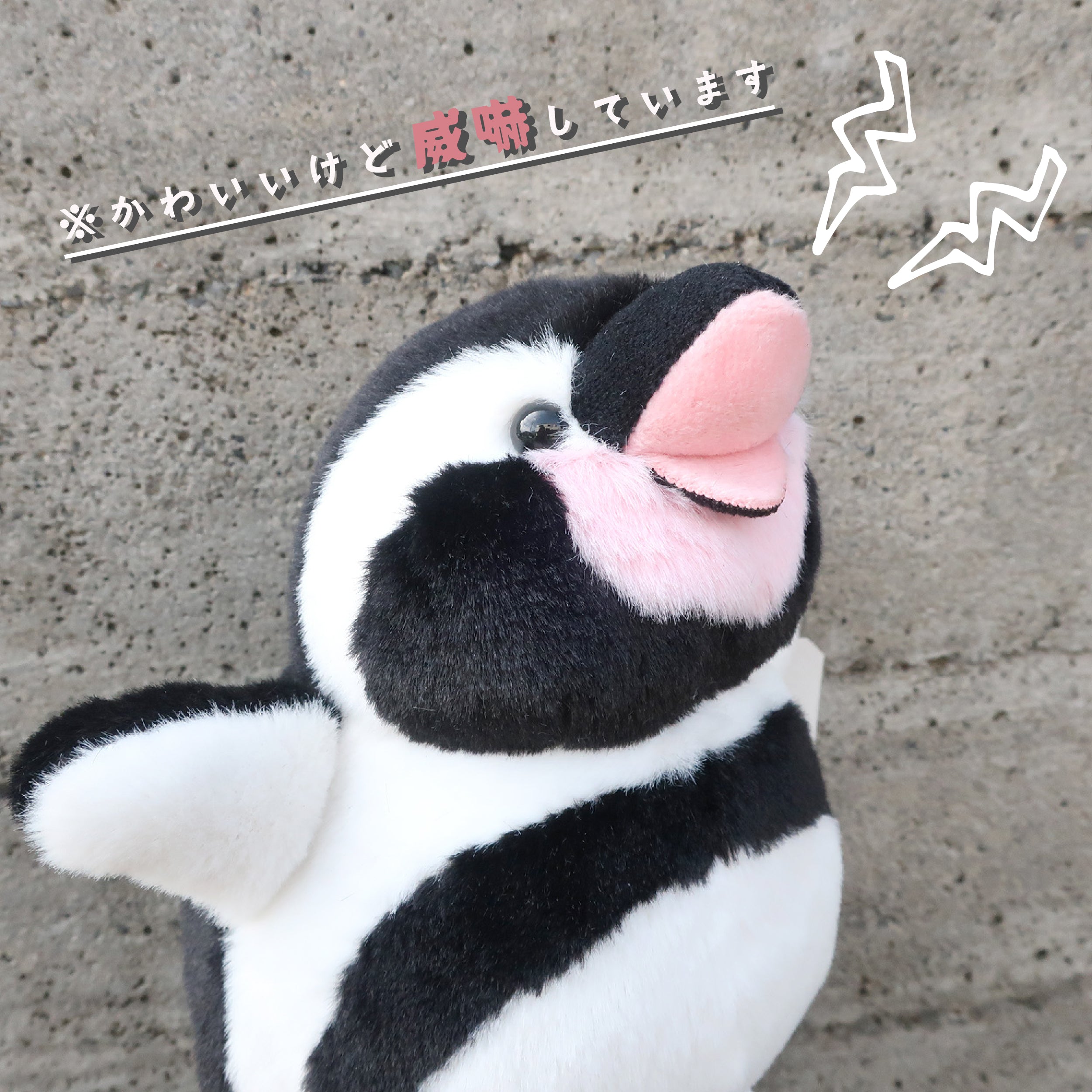 おこぷん ペンギン ぬいぐるみ【全2種】 – nipopo
