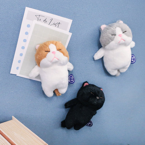 ぼうみたいなねこ,猫,くっつくぼうみたいなねこ,くろぼう,ちゃぽう,ねずぼう