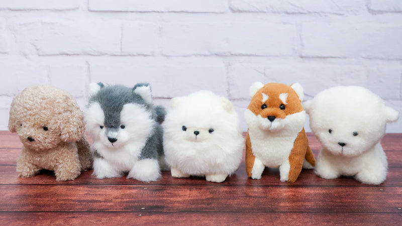 わたぽ ぬいぐるみ 犬のなかま【全5種】