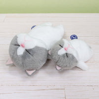 ぼうみたいなねこ,猫,くっつくぼうみたいなねこ,ねずぼう