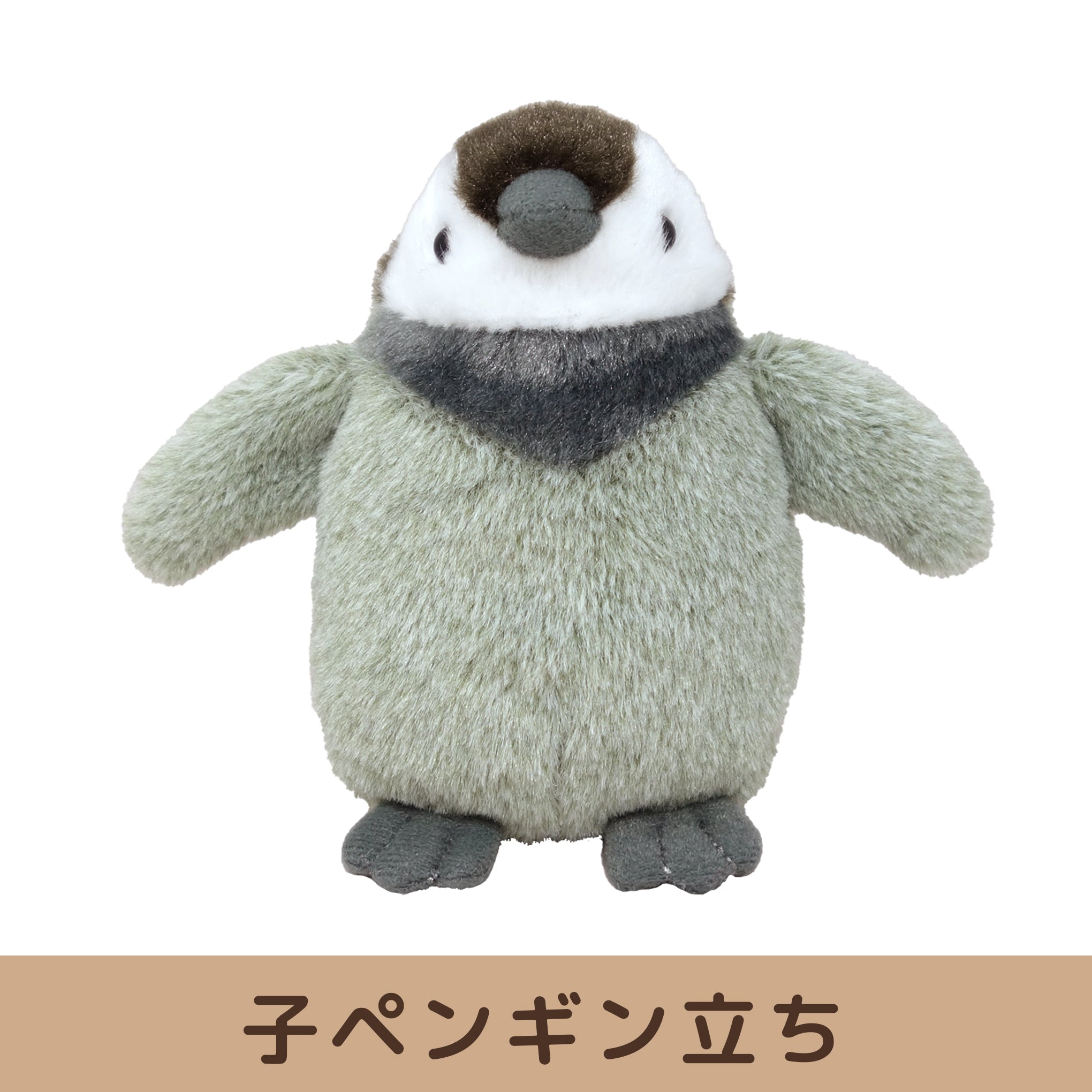 海中散歩 ちゅんちゅんペンギン【M/Sサイズ】 – nipopo