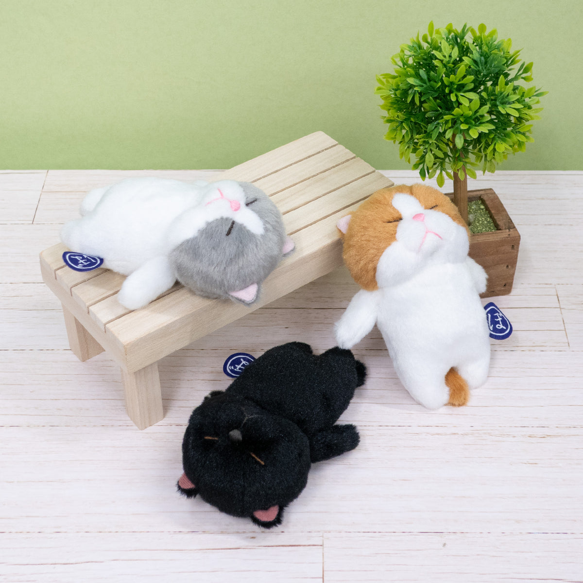 ぼうみたいなねこ,猫,くっつくぼうみたいなねこ,くろぼう,ちゃぽう,ねずぼう