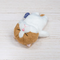 ぼうみたいなねこ,猫,くっつくぼうみたいなねこ,ちゃぽう