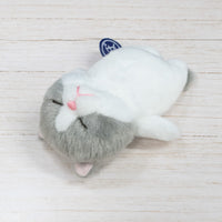 ぼうみたいなねこ,猫,くっつくぼうみたいなねこ,ねずぼう