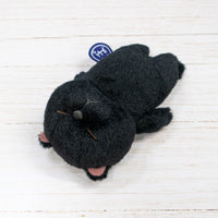 ぼうみたいなねこ,猫,くっつくぼうみたいなねこ,くろぼう