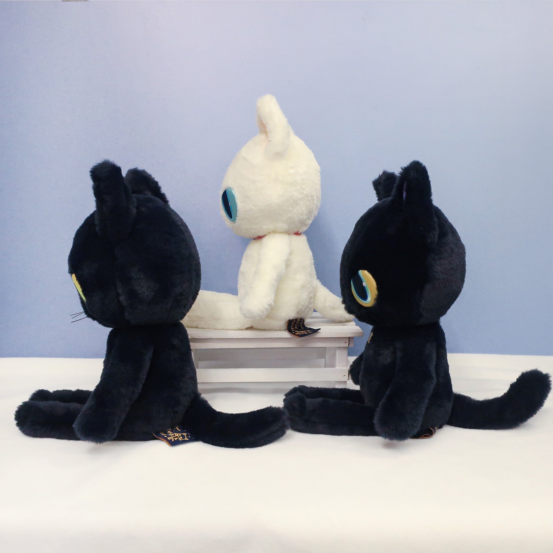 猫】ブルー・ワールド ぬいぐるみM【全3種】 – nipopo