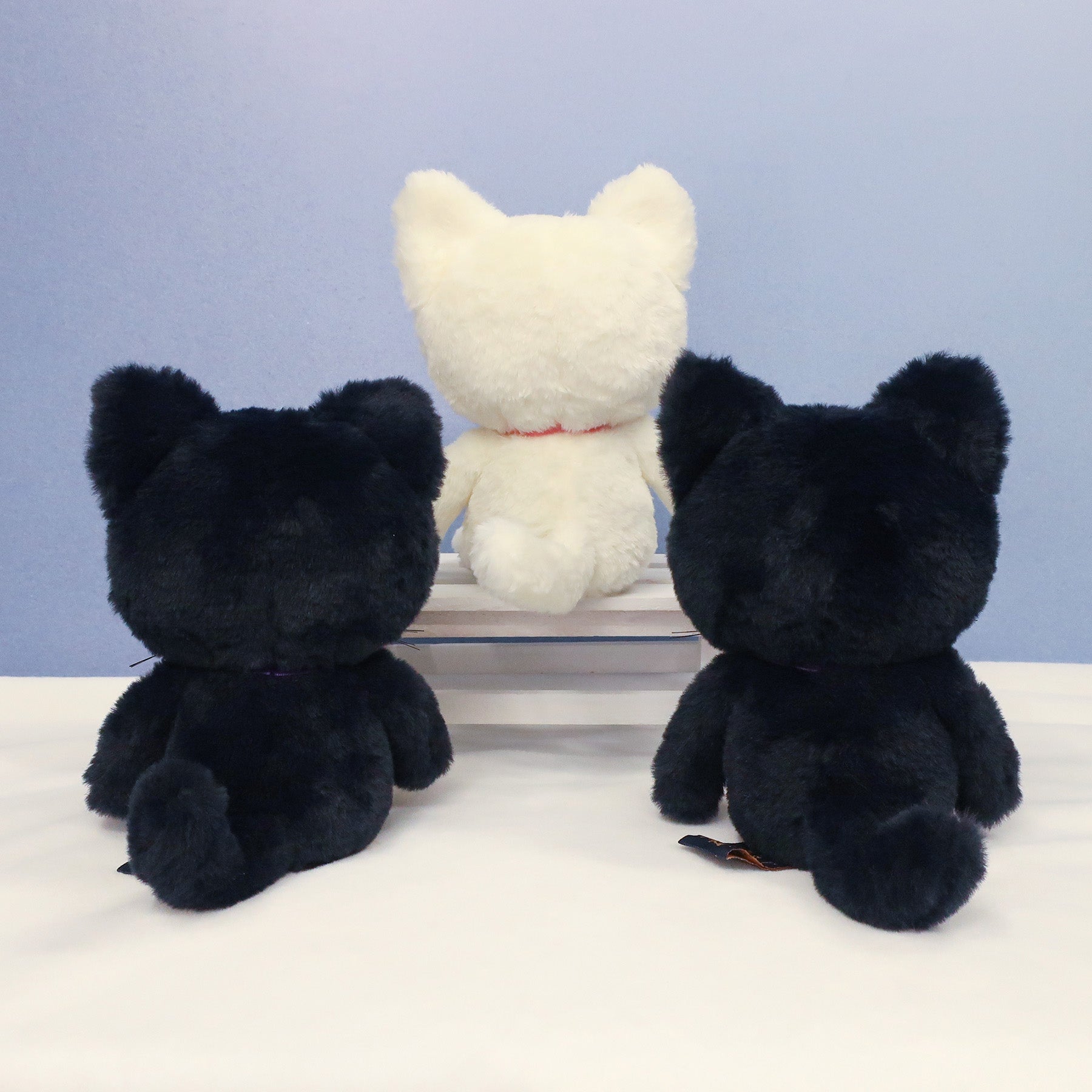 猫】ブルー・ワールド ぬいぐるみS【全3種】 – nipopo