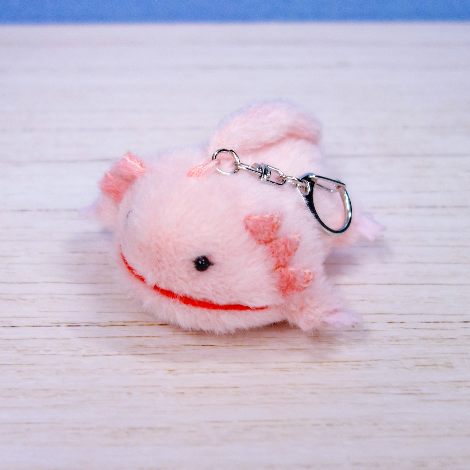 ぽちゃまる②プロフィール要確認✔︎︎︎︎　804040サイドアクリル ぽちゃまる②プロフィール要確認✔︎︎︎︎ 804040サイドアクリル