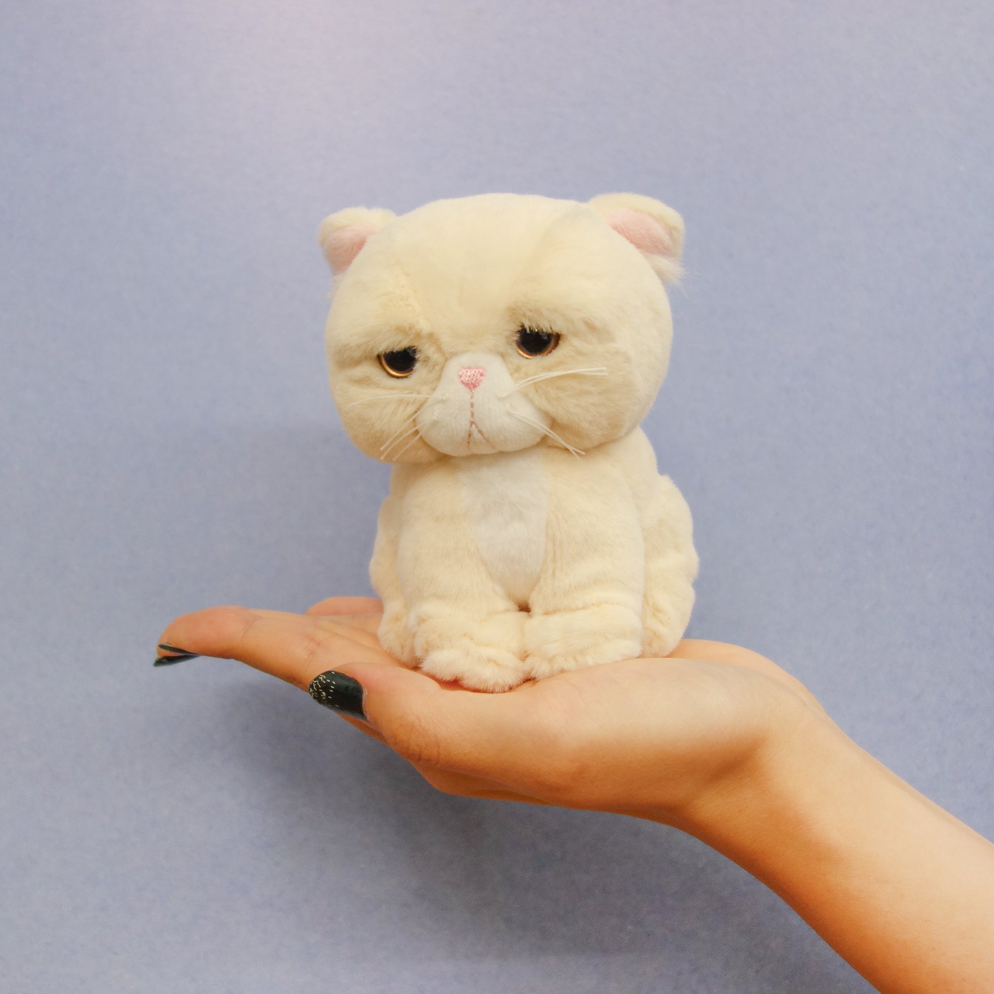 猫のもちゃぼんぼん ぬいぐるみ – nipopo