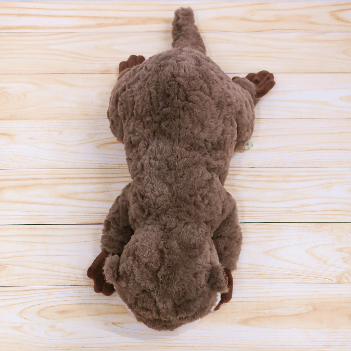 もっぷす,MOPS,どうぶつ,ぬいぐるみ,コツメカワウソ,上から