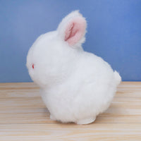 わたぽ おおきなぬいぐるみ 【全4種】