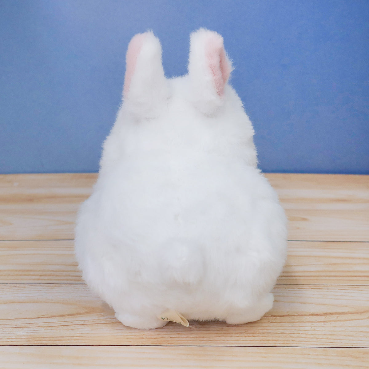 わたぽ おおきなぬいぐるみ 【全4種】