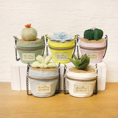 Succulent bucket type pouch [5 types in total]