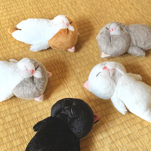 Bou-like cat stuffed toy 1 [5 types in total]
